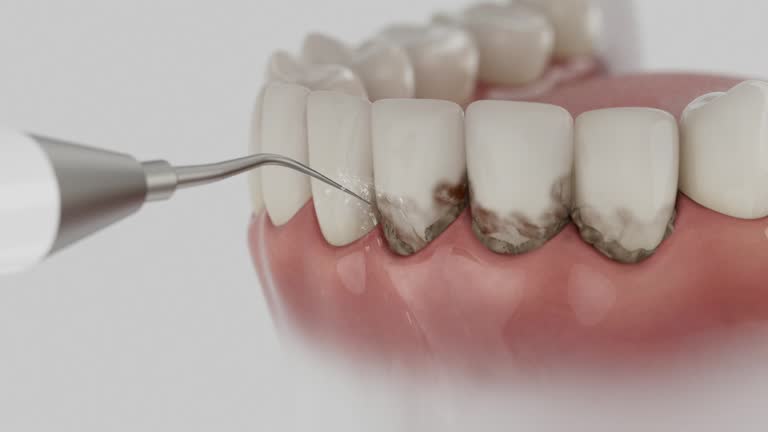 Reliable Dental contractor in Lansing, MI by Dentist Open Now